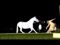 show magic horse