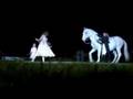 show magic horse