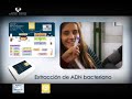KITS DE BIOTECNOLOGIA PARA AULAS Y MUSEOS www.vita-aidelos.com