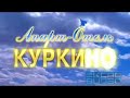 Куркино апарт-отель. Презентация.