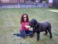 Spike-der-Bulle-von-