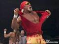 Hulk Hogan's New Girlfriend