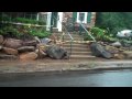 landscape,design,landscaping