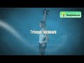Exercise for Triceps: Triceps Extension Exercise