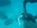 Hawaii's sexiest girls freediving