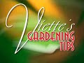 mark viette tells how to keep weeds out of your mulch.