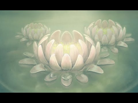 video-show