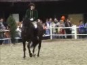 I Kissed A Girl (Classical Dressage)