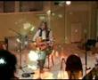 Birch Book - Zephyr Through The Willows