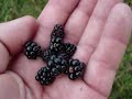 Five Million Steps: My 2007 AT Thru-hike