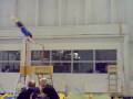 videos de tripleback