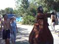 videos de Sziget 2004 Bojenmann Budapest
