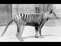 slideshow: cryptozoology