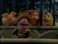sesame street news flash: what is your favorite animal?