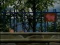 sesame street news flash: what is your favorite animal?