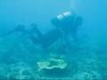 Hedland Dive Group
