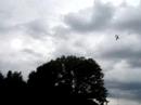 Silverlit X-Twin demonstratie te Zonhoven