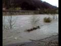videos de Ripafratta (PISA) Lunedi 1° Dicembre 2008 fiume Serchio in piena PT1