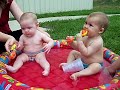 Asah and Alhana Pool Party Asah and Alhana Pool Party