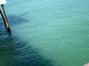 Salto Rio das Ostras - Douglas Salto Rio das Ostras - Douglas