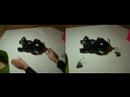 TRI/AIBO Head Replay Split-Screen