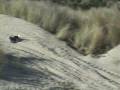 videos de beach1crt.wmv