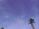 Thumbnail #1