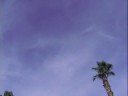Chemtrail Overdose