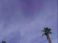 Chemtrail Overdose