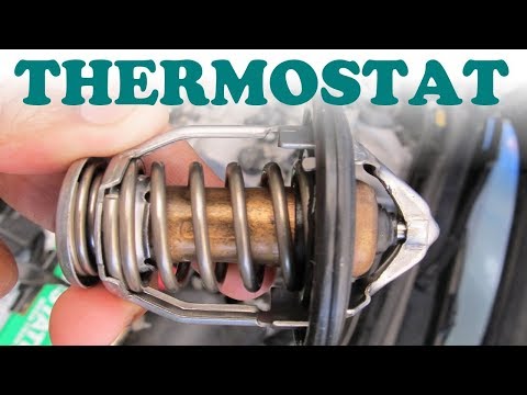 Thermostat Replacement and Coolant Flush – Camry V6