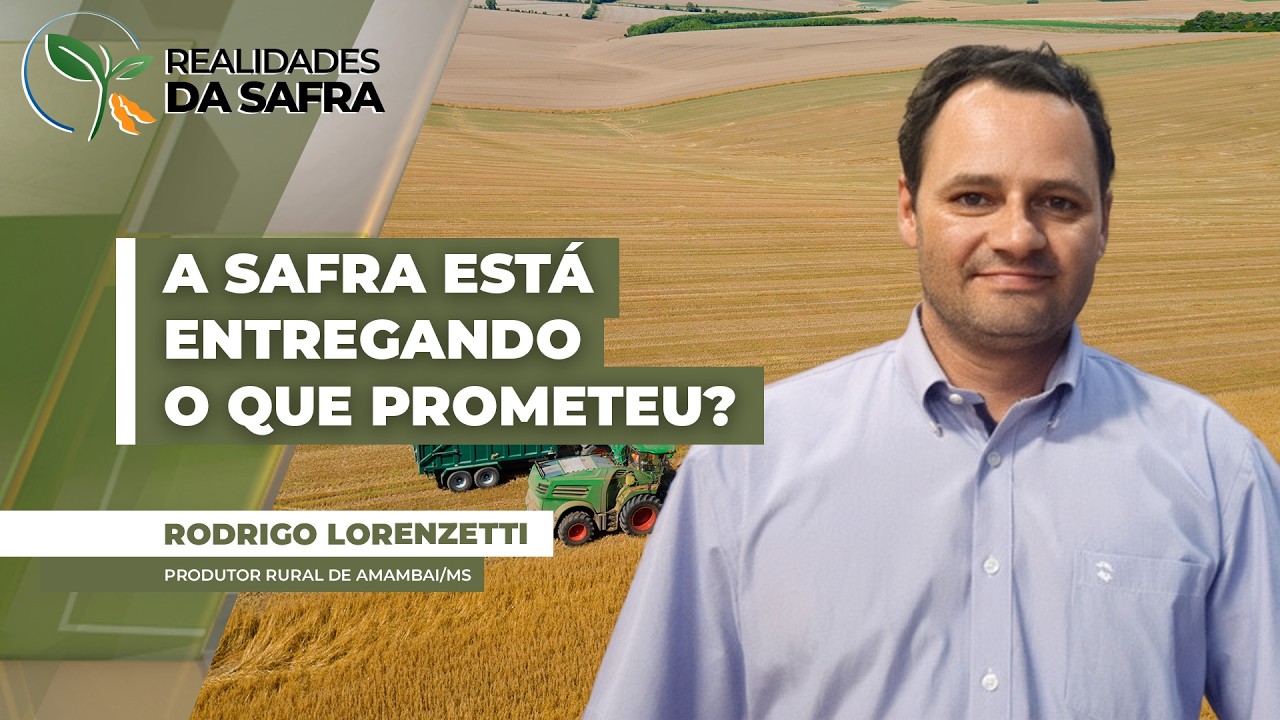 Milho em MS: produtividade confirma expectativas?