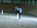 Zeppelin at Painted Acres 4