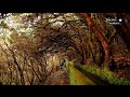 Click to View : L'Isola di Madeira