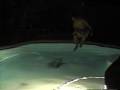 Ice Water Jump-Part 3
