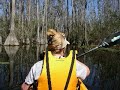 Kayaking through the Okefenokee Swamp Kayaking through the Okefenokee Swamp