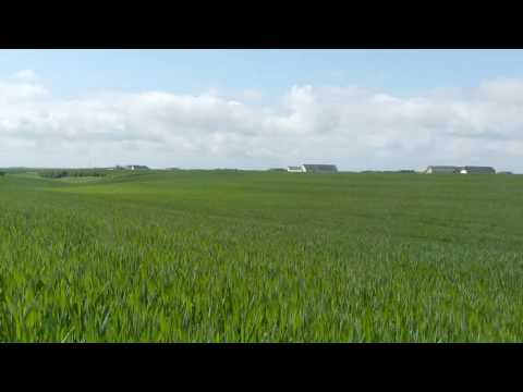 Sound Of Wind - Google+ https://plus.google.com/117742457115480021491 Facebook https://www.facebook.com/ScenicVideos Wind has long been seen as a very effective relaxing sou...