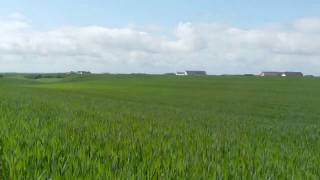 Relaxing Nature Scenes - Relaxing Sounds Of Wind In The Meadow (Relaxation Meditation)
