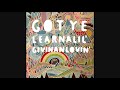 Gotye – Learnalilgivinanlovin' (Passion Pit Remix)