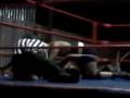 videos de tony rodriguez VS tigre negro (parte 2)