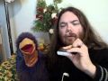 Nokia X6 uitpakvideo met vogel