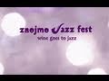 Jazz Fest Znojmo 2011 - HD