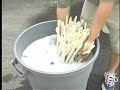 How To Clean Your Above Ground DE Filter How To Clean Your Above Ground DE Filter