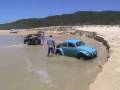 Buggies Playing in Eli Creek - Fraser Island 2008