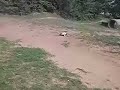 RC-Buggy RC-Buggy