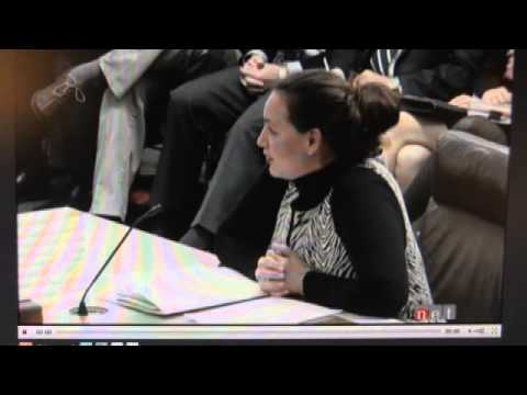 NE Senate LGBT rights hearing: No, Sen. Christensen, polygamy is not a sexual orientation Video