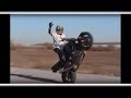 Auto Moto Show 2008 Activities (promo)