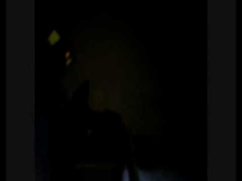 BOOBO short film BOOBO short film