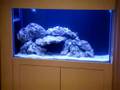 Acuario Marino ACQUS