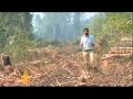 Russian environmentalists fight to save forest