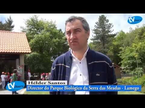 Parque Biológico de Lamego organizou Semana do Ambiente - Televisão do Douro